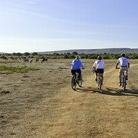 Hire a Mountain Bike at De Hoop - De Hoop Collection - Xplorio™ Bredasdorp